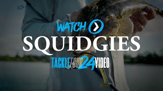 SHIMANO TACKLE TOUR 2024 Squidgies Ridge Shad [upl. by Merrielle]