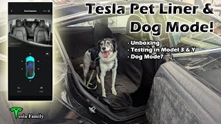 Tesla Pet Liner and Dog Mode  Tested in Model 3 and Model Y [upl. by Nodnorb]