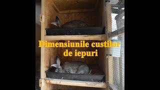 ‼️Dimensiunile cuștilor pentru iepuri în funcție de rasă 🐰 [upl. by Kassaraba]