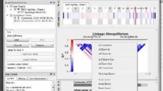 Quantitative Haplotype Association and Haplotype Trend Regression in SVS 7 [upl. by Jerroll]