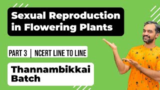 Sexual Reproduction in Flowering Plants  Part 3  NCERT Line to Line  Thannambikkai Batch [upl. by Watters]