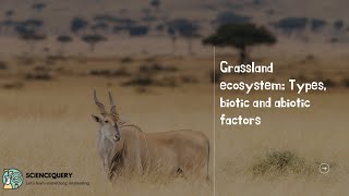 Grassland ecosystem [upl. by Long286]