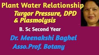 Turgor pressure  DPD and Plasmolysis [upl. by Anertak]