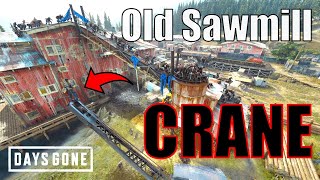 DAYS GONE  Old Sawmill Horde Crane Trick [upl. by Attenor809]