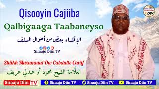 Qisooyin Cajiiba Qalbigaaga Taabaneyso  Shiikh Maxamuud Ow Cabdulle Cariif [upl. by Cj]