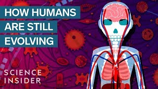 3 Surprising Ways Humans Are Still Evolving [upl. by Bear186]