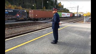 Togekspedering på Roa stasjon in Norwegian [upl. by Haeli183]