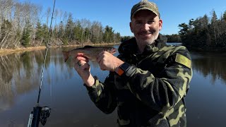 Trout Fishing the Pugwash River  Nova Scotia 2024 [upl. by Edwards627]