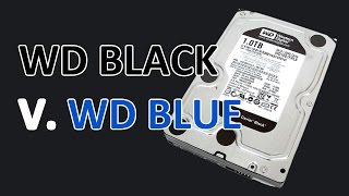 WD Blue vs Black vs Green  Best HDD for Gaming [upl. by Surat]