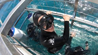 Shark Cage Diving in South Africa [upl. by Trevethick]