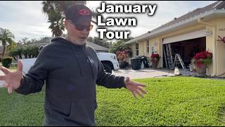 ProVista Weed Control and Fert  January Lawn Tour  All Around My Yard [upl. by Hanser]