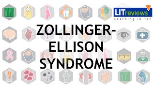 Zollinger Ellison Syndrome ZES [upl. by Hagi438]