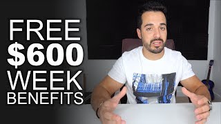 How To Apply for the FREE 600 Weekly  Unemployment Benefit [upl. by Mabelle]