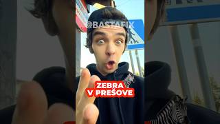 Zebra na ceste v Prešove 😂 Šak jakoby nic 🦓 extrém toto 🙈 Sekčov iný svet 😜 BastaFix Slovensko [upl. by Nahtnahoj]