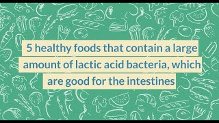 5 healthy foods that contain a large amount of lactic acid bacteria [upl. by Aidan236]