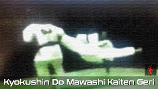 Kyokushin Do Mawashi Kaiten Geri [upl. by Strawn]