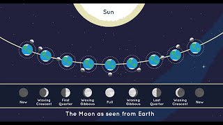 Phases of moon I Lunar phases youtubeshorts shorts moonphases moonphase [upl. by Notsur632]