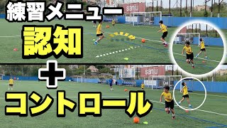 【サッカー練習メニュー10】適切な認知がコントロール実行）を助ける [upl. by Nirre574]