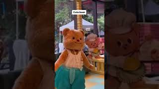 something different today bear magnetic illit dance cute cuteshorts dancecover bearbear [upl. by Gut218]