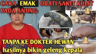 TIPS OBATI JAMUR PADA ANJING [upl. by Orvas696]