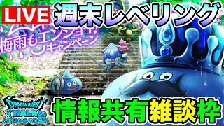 【ドラクエウォーク】キャンペーン内容共有しつつ、週末レベリング着手【DQW】 [upl. by Sella]