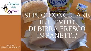 Come congelare il lievito di birra fresco in cubetti [upl. by Ellicec]