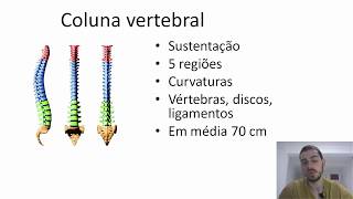 CINESIOLOGIA E BIOMECÂNICA COLUNA VERTEBRAL estruturas e função [upl. by Negrom]