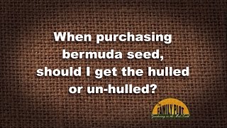 QampA – Should I buy hulled or unhulled Bermuda grass seed [upl. by Adyan]