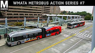 WMATA Metrobus Action Series 7 [upl. by Eseerahs873]