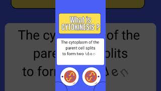 What is cytokinesis cell division mitosis and meiosis shortsfeed biology science shorts [upl. by Nosiram]