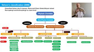 Fish Classification part I [upl. by Edette]