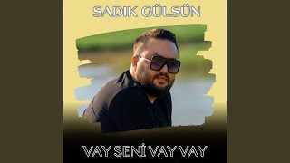 Vay Seni Vay Vay [upl. by Truelove]