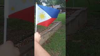 Flag of the Philippines waving in the wind [upl. by Adnawyek]