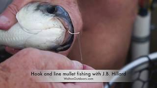 Mullet fishing around the Choctawhatchee estuaries [upl. by Anileme445]