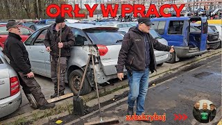 Orły w pracy [upl. by Wandie]