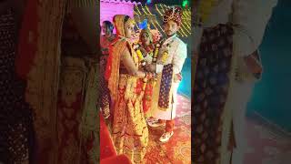 गोंडा में आलू बेचैन बस्ती में बोड़ा lokgeetdehati song newdehatilokgeet weddingmusic [upl. by Lartnom]