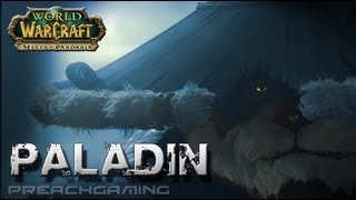 Protection Paladin Basic Tank Guide [upl. by Aneri937]