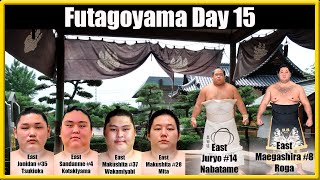 Grand Sumo Day 15 Futagoyama Beya Nov2024 Tsukioka Kotakiyama Wakamiyabi Mita [upl. by Nodnart801]