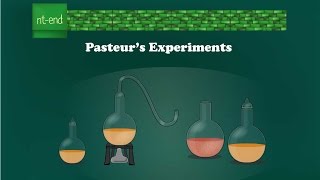 Pasteurs experiments Microbiology biology pasteur microbiology louispasteur [upl. by Nij]