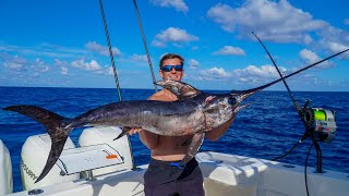 How to Cook Wild Caught Swordfish Steaks  Pan Fry Swordfish Steaks [upl. by Sitoiyanap688]