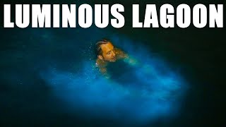 LUMINOUS LAGOON and Glistening Waters in Jamaica Best thing to do in Montego Bay Bioluminescence [upl. by Acirret]