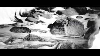 Wake Owl  Wild Country Official Video [upl. by Eilata815]