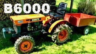 Kubota B6000 Beast [upl. by Wiese]