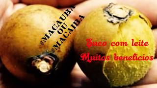 SUCO DE MACAÚBA  MACAÍBA [upl. by Macy]