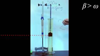 Damped Oscillatory Motion [upl. by Poulter179]