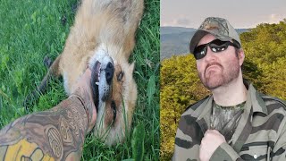 Finnegan Fox Friday Featuring Dixie Fox Episode 4 SaveAFox  Reaction BBT [upl. by Euqinimod]