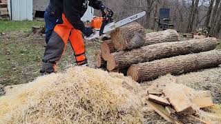 Stihl ms 400 making wood noodles 🍜 [upl. by Eikcim]