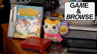 The Cutest GBA Game Ever Hamtaro HamHam Heartbreak  Game amp Browse Recap [upl. by Nnalyrehc]