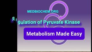 Glycolysis Regulation of Pyruvate Kinase Metabolism Made Easy [upl. by Ayit]