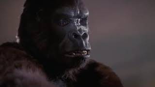 king kong 1976 movie seen [upl. by Ynoffit]